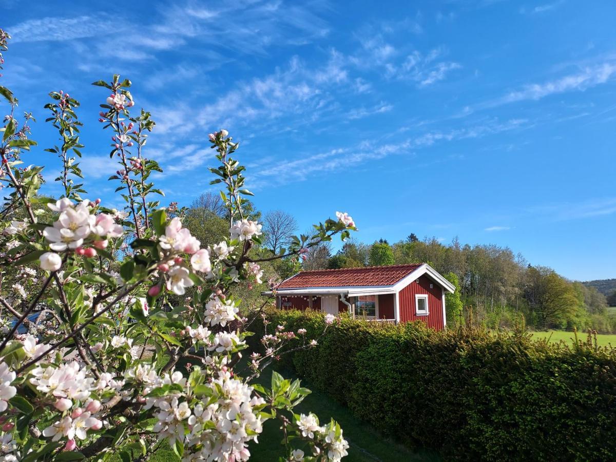 Aelgbergets Bed & Breakfast Ucklum Экстерьер фото