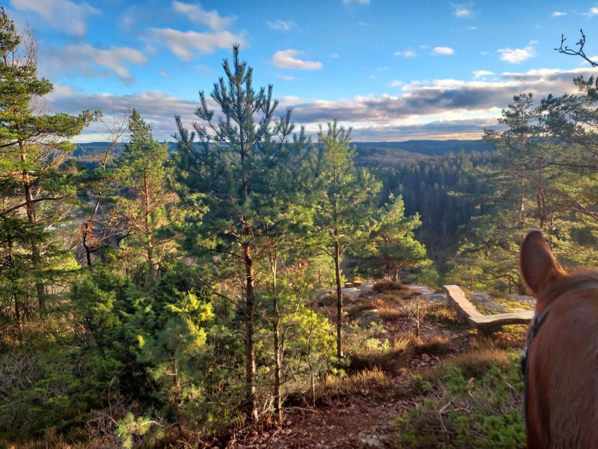 Aelgbergets Bed & Breakfast Ucklum Экстерьер фото