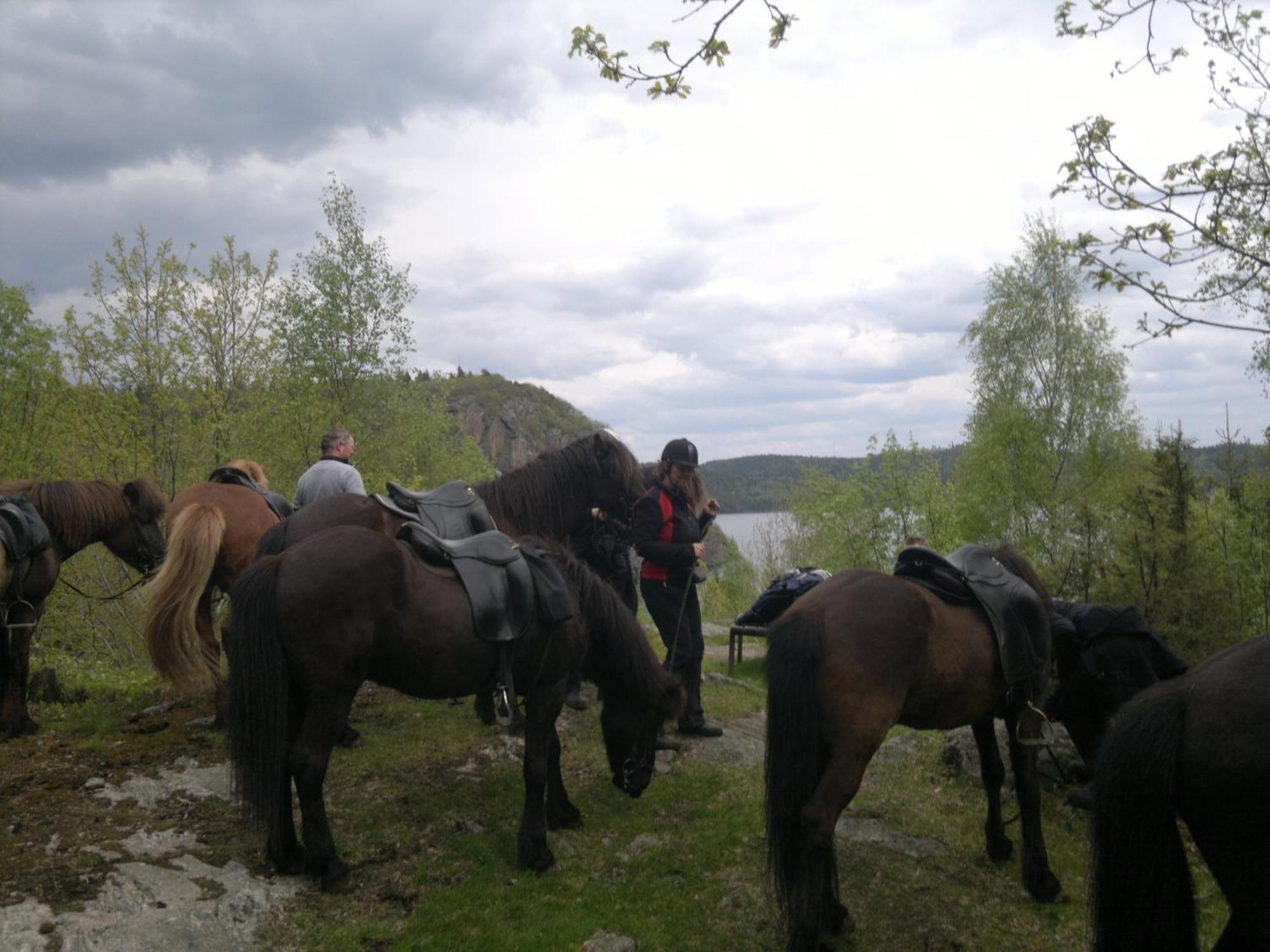 Aelgbergets Bed & Breakfast Ucklum Экстерьер фото